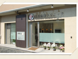 地元、愛知県出身の院長が２０１０．２月に開業した、犬・猫を主に診る動物クリニック！