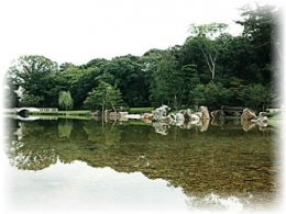 一般的な公園として利用されてきましたが、平成16年秋に日本庭園としてリニューアル！